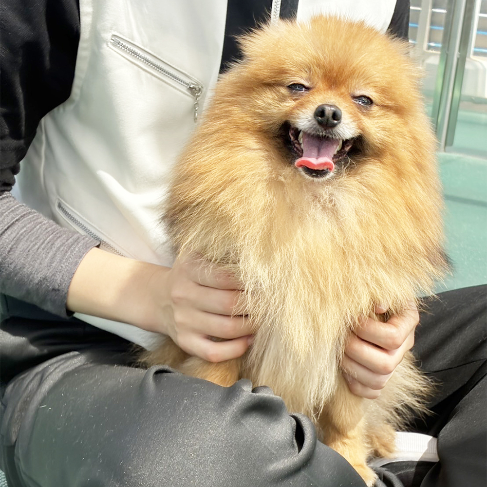 生徒が撮影してくれた写真♪①